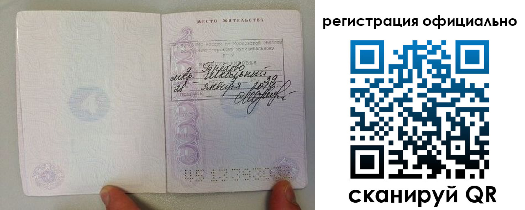 прописка штамп в Лосино-Петровском
